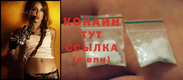индика Навашино