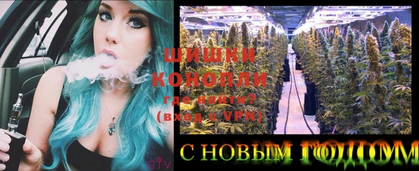 индика Навашино