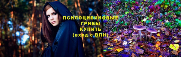 индика Навашино