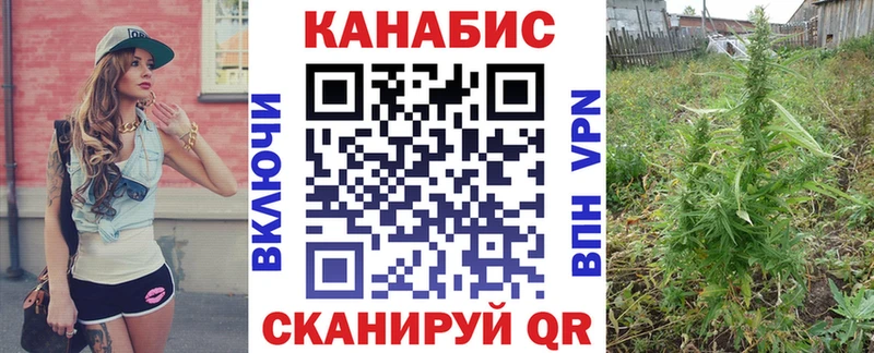 хочу наркоту  Уржум  Конопля тримм 
